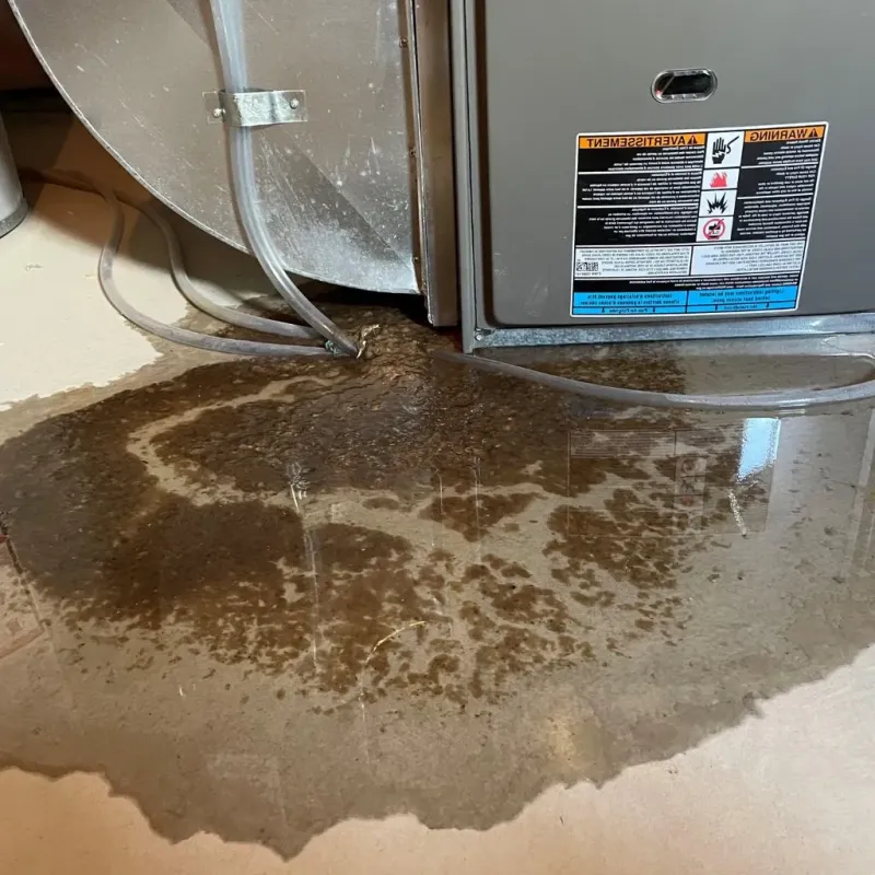 Pipe Burst and Leak Restoration in Chesterfield Court House, VA